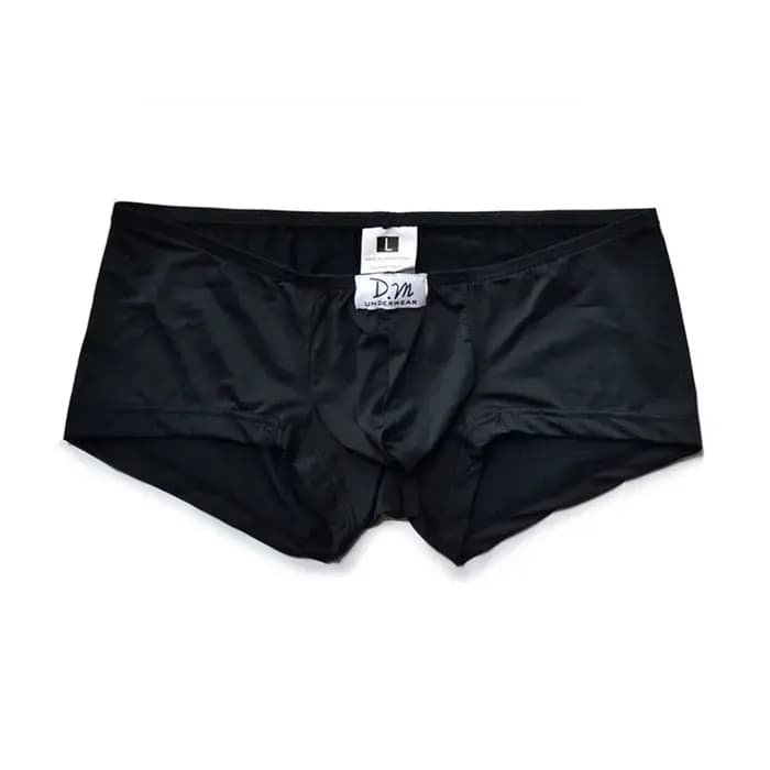 Sous-vêtements pour hommes caleçons boxeurs solides Cuecas Masculinas slips pour hommes soie lisse S