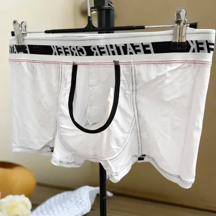Boxer pour hommes, sous-vêtements sexy pour hommes