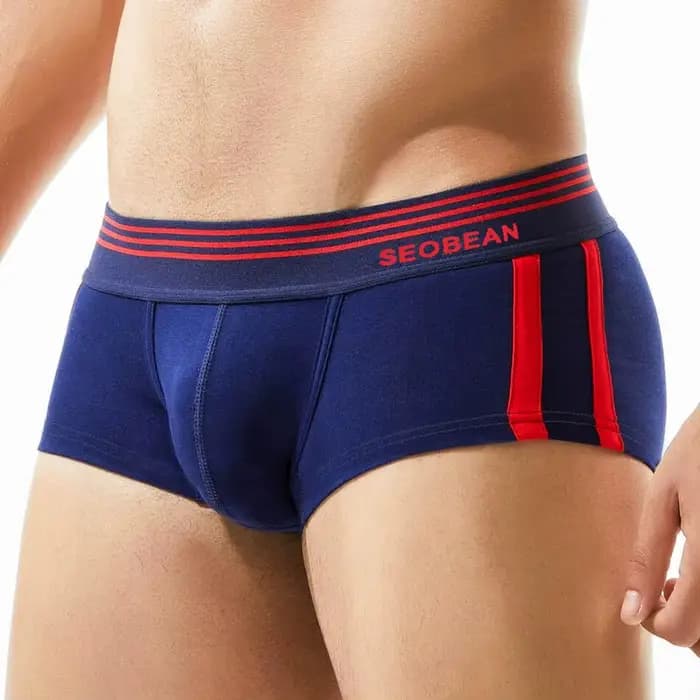 SEOBEAN marque hommes sous-vêtements boxeurs Shorts respirant coton caleçon confortable Sexy culotte Boxer pour homme