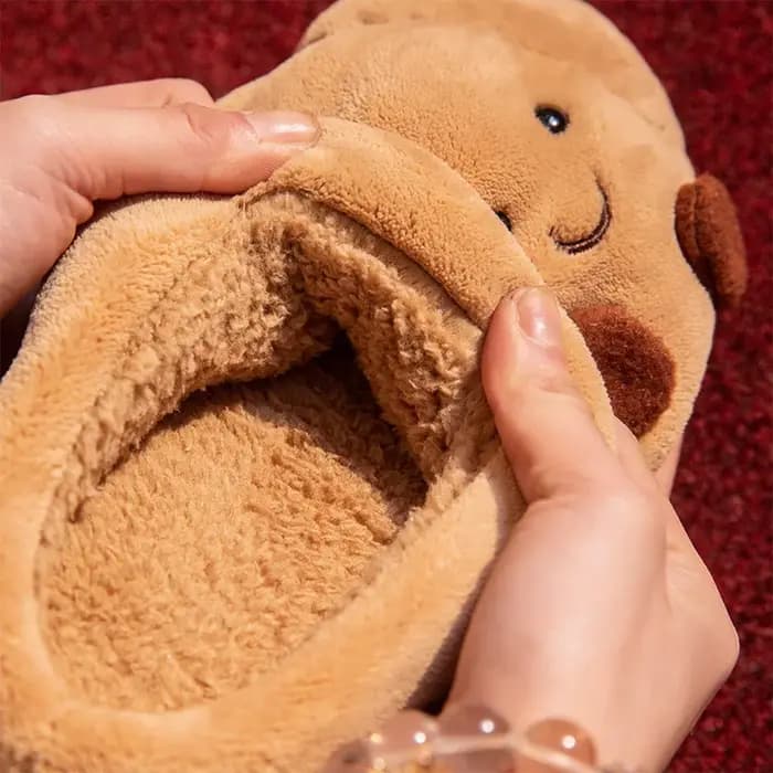Pantoufles moelleuses de dessin animé pour femmes et hommes