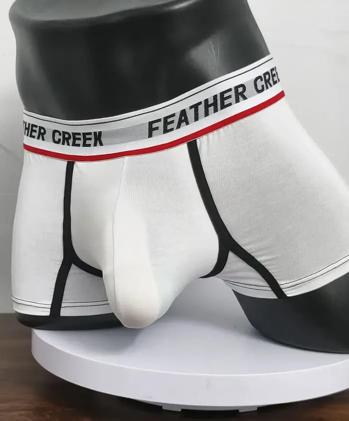 Boxer pour hommes, sous-vêtements sexy pour hommes