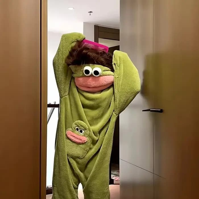 26 Nouveaux Pyjamas Combinaisons à Poils Longs Motif Diable de Tasmanie et Grenouille Triste