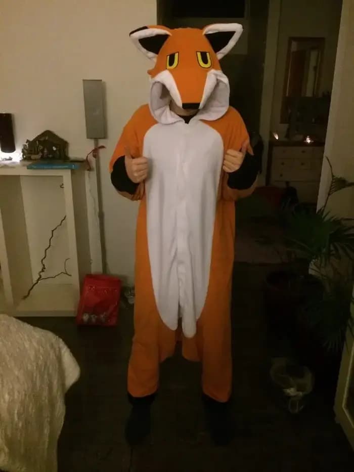 HKSNG nouveau Orange monsieur Mr Fox pyjamas de haute qualité adulte unisexe Animal hiver fête Onesie Kigurumi Cosplay Costume Homewear