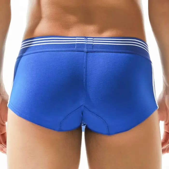SEOBEAN marque hommes sous-vêtements boxeurs Shorts respirant coton caleçon confortable Sexy culotte Boxer pour homme