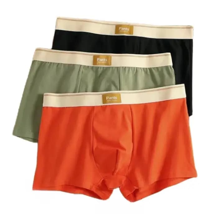 3 pièces hommes culottes coton BoxerShorts sous-vêtements