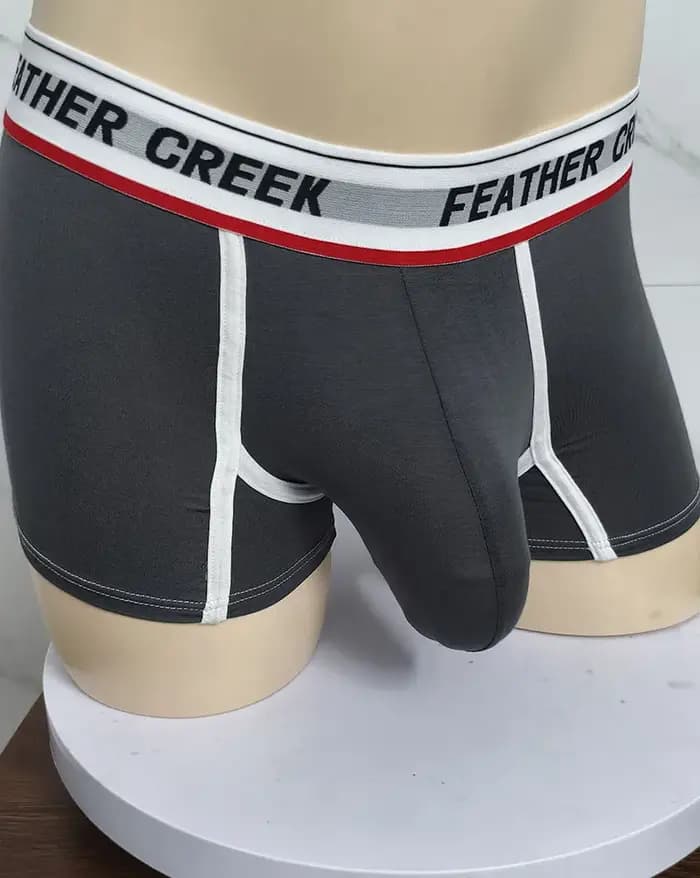 Boxer pour hommes, sous-vêtements sexy pour hommes