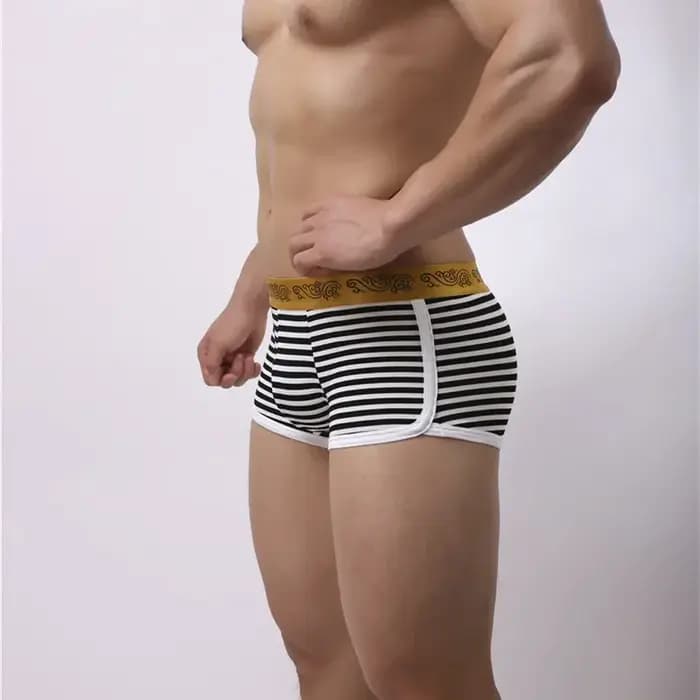 Boxer de Marque en Coton pour Homme, Sous-Vêtement Respirant à Carreaux, Doux