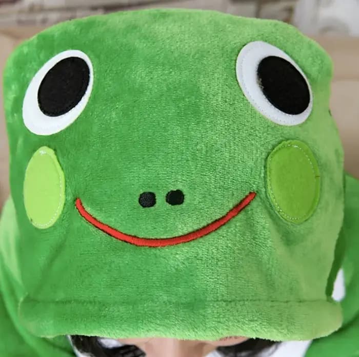 Grenouille unisexe adultes flanelle animal Pyjamas cosplay Pijama Onesies