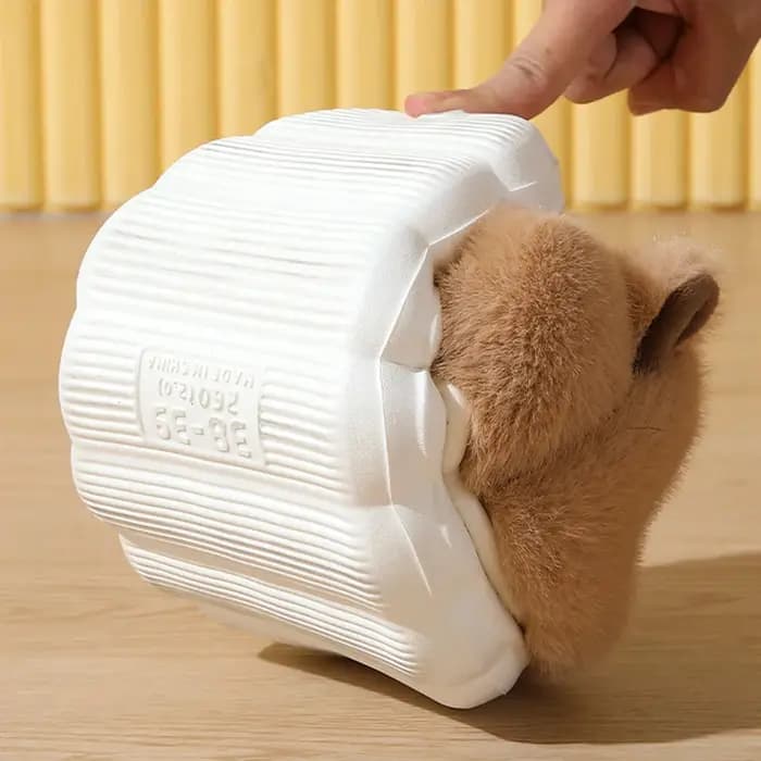Mignon Capybara coton pantoufles femmes automne hiver intérieur semelle souple chaud fourrure diapositives hommes
