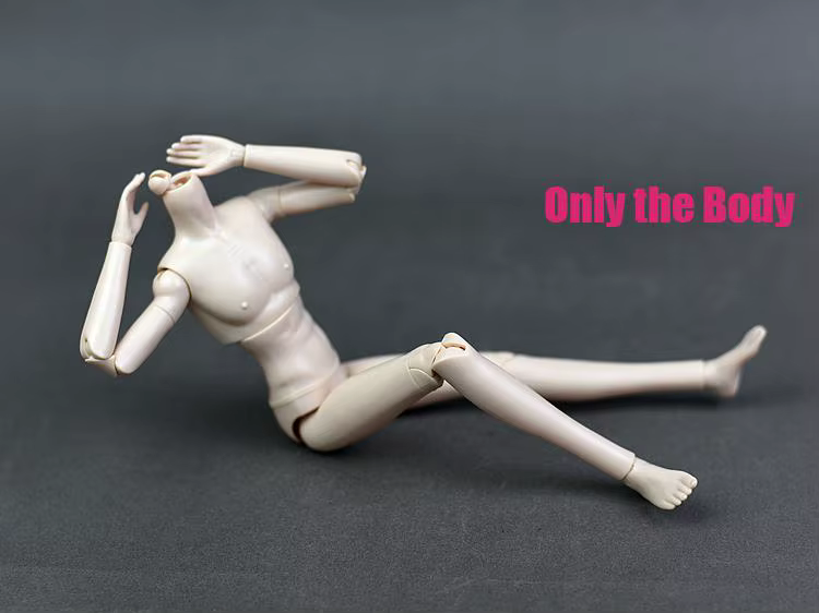 Poupée masculine nue 1/6, corps flexible à 20 articulations, BJD Prince, cheveux longs blancs et noi