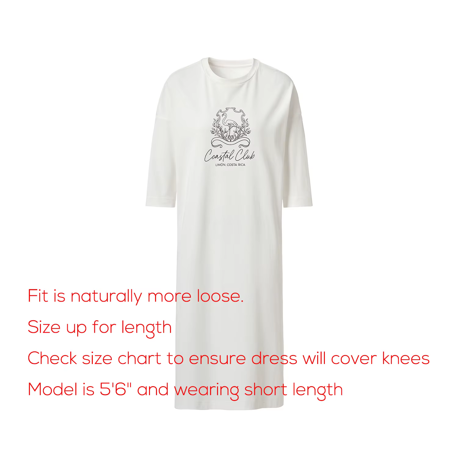 Robe en coton imprimée pour femme AP SS26, vêtements de mode pour femme, trois longueurs, tableau de