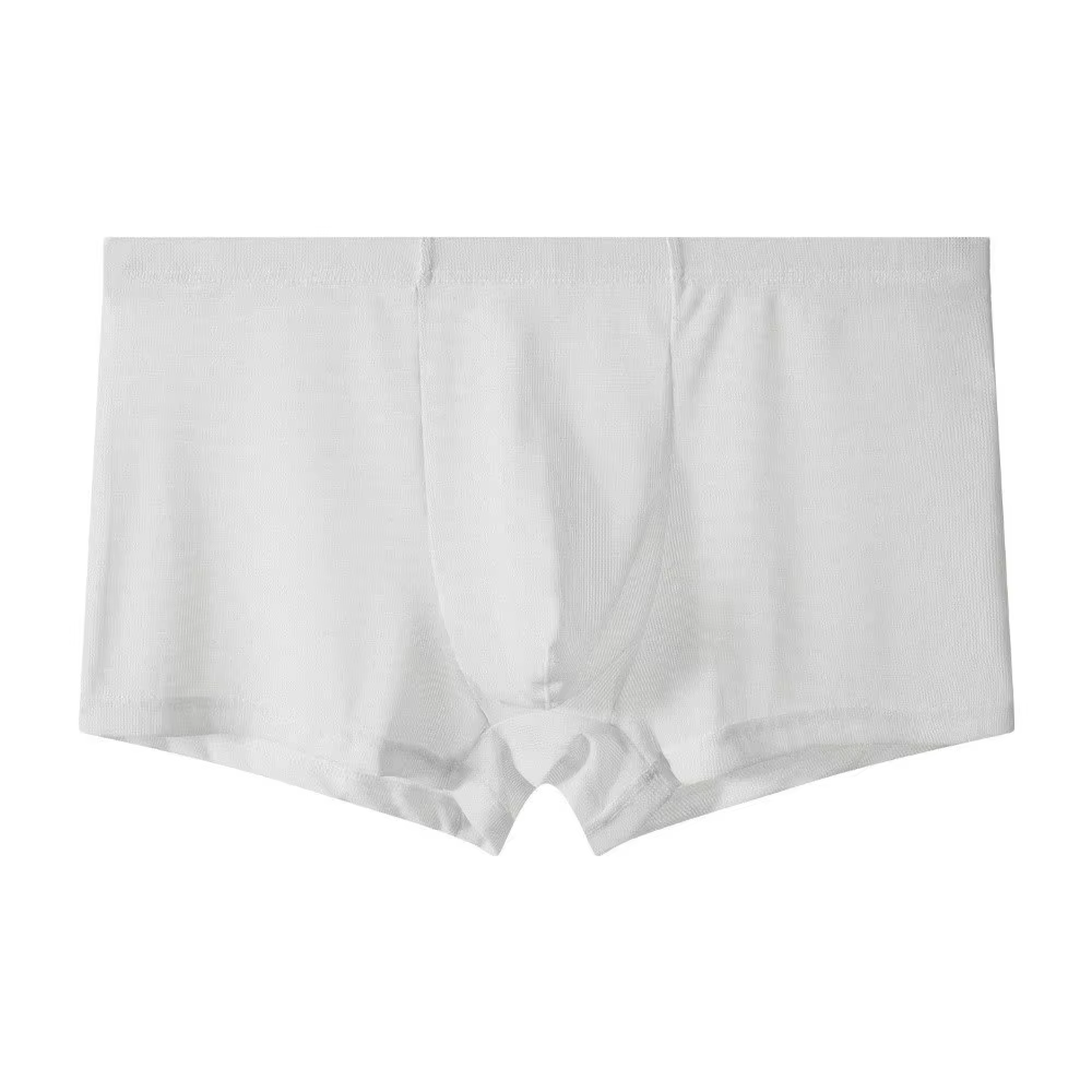 Sous-vêtements de mode pour hommes, caleçons boxer, maille transparente, shorts en maille fine, boxe